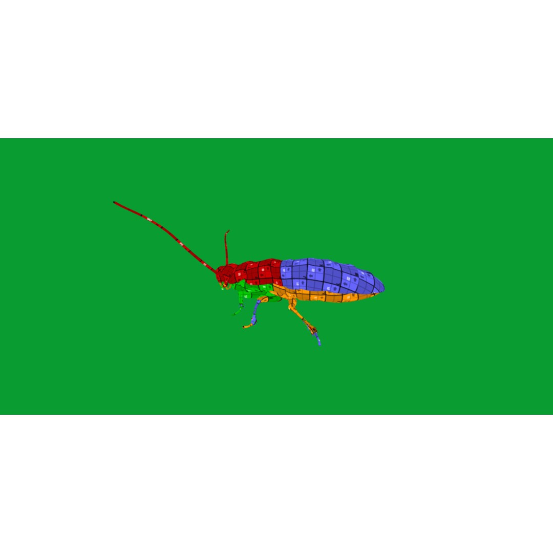 Madagascar Hissing Cockroach 3D Model – Low Poly Game Ready, FBX - View 18