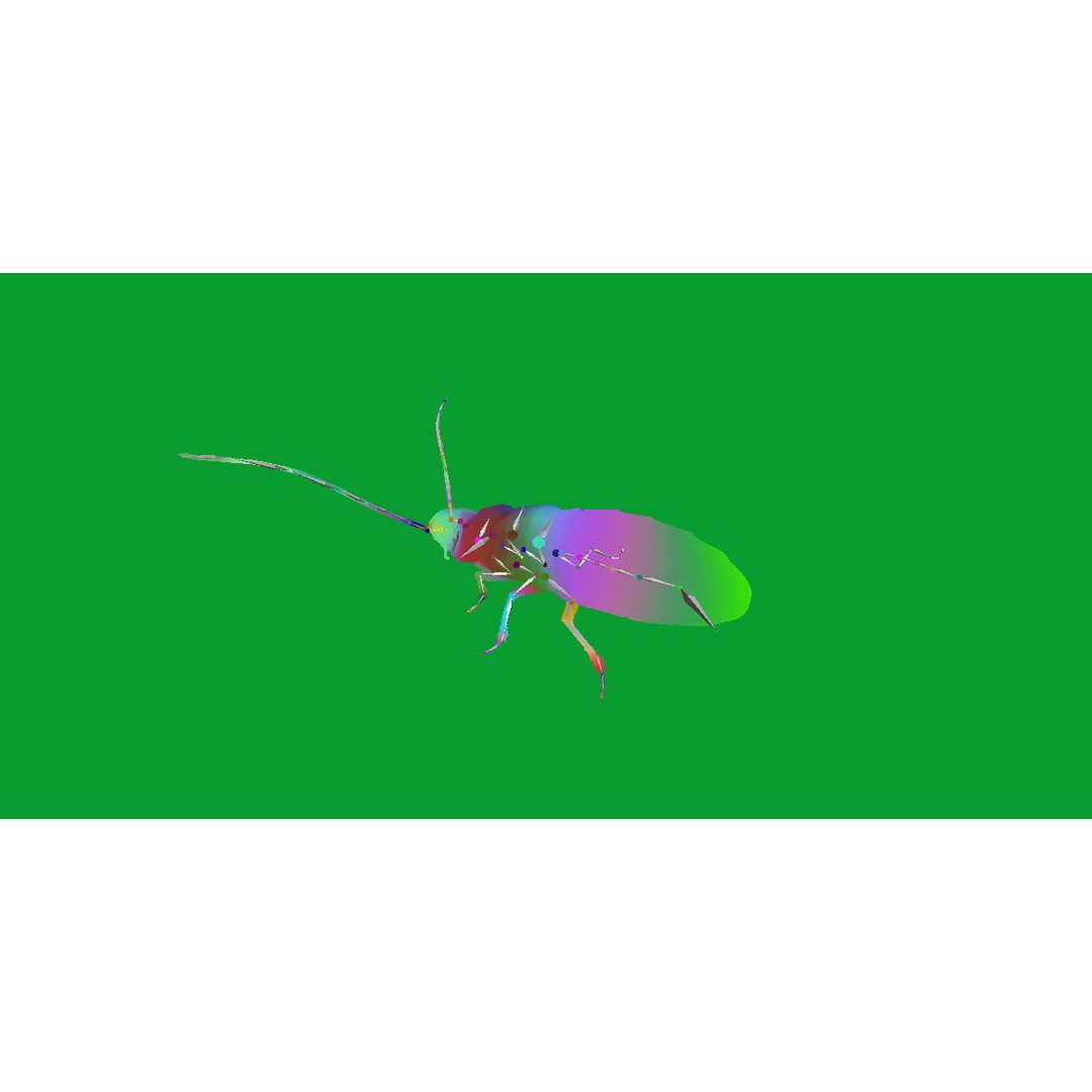Madagascar Hissing Cockroach 3D Model – Low Poly Game Ready, FBX - View 25