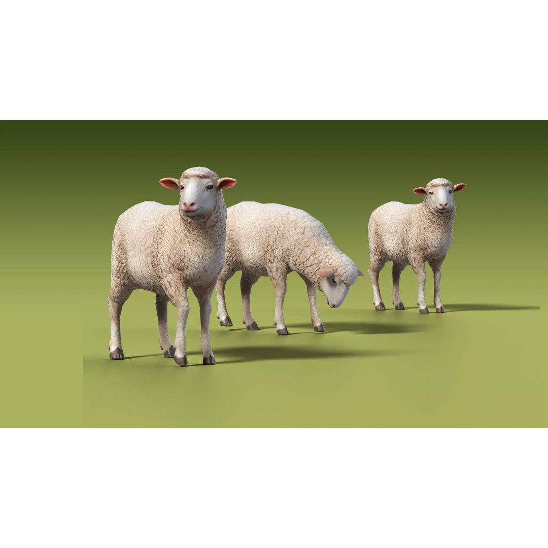 Shepherd Valley 3D Animal Pack – Low Poly Game Assets, FBX, Rigged - View 14