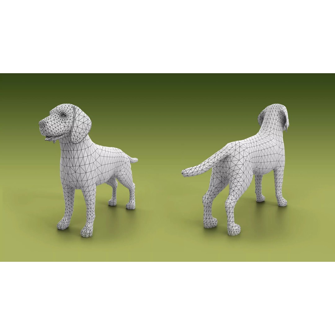 Shepherd Valley 3D Animal Pack – Low Poly Game Assets, FBX, Rigged - View 18