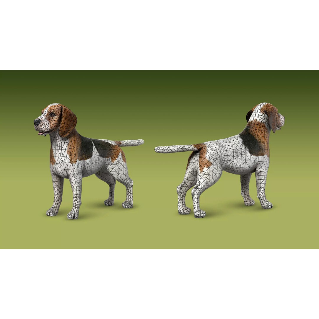 Shepherd Valley 3D Animal Pack – Low Poly Game Assets, FBX, Rigged - View 19