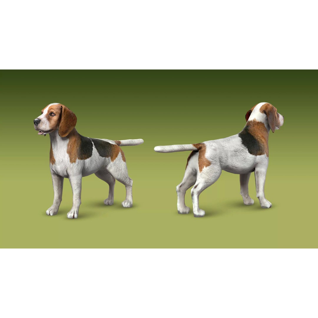 Shepherd Valley 3D Animal Pack – Low Poly Game Assets, FBX, Rigged - View 21