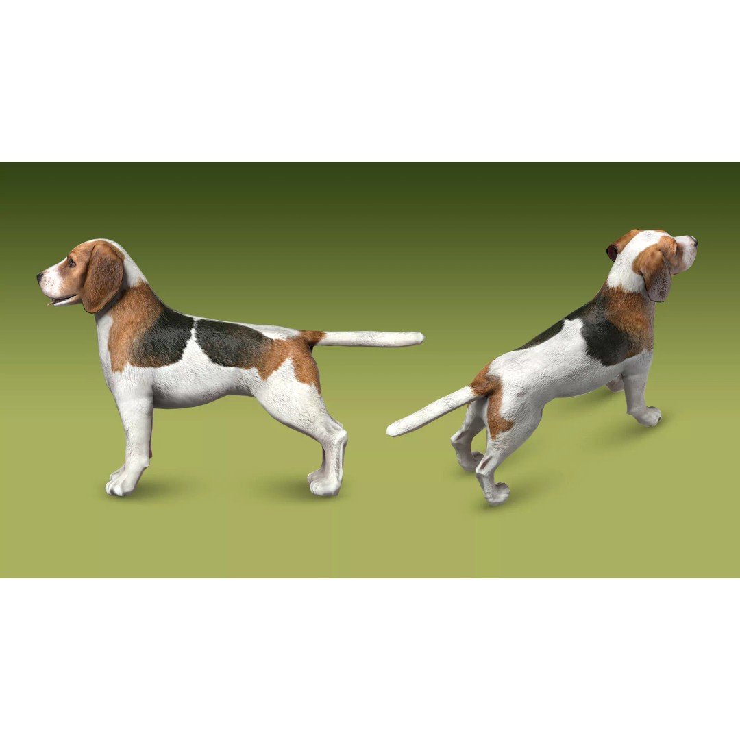 Shepherd Valley 3D Animal Pack – Low Poly Game Assets, FBX, Rigged - View 22