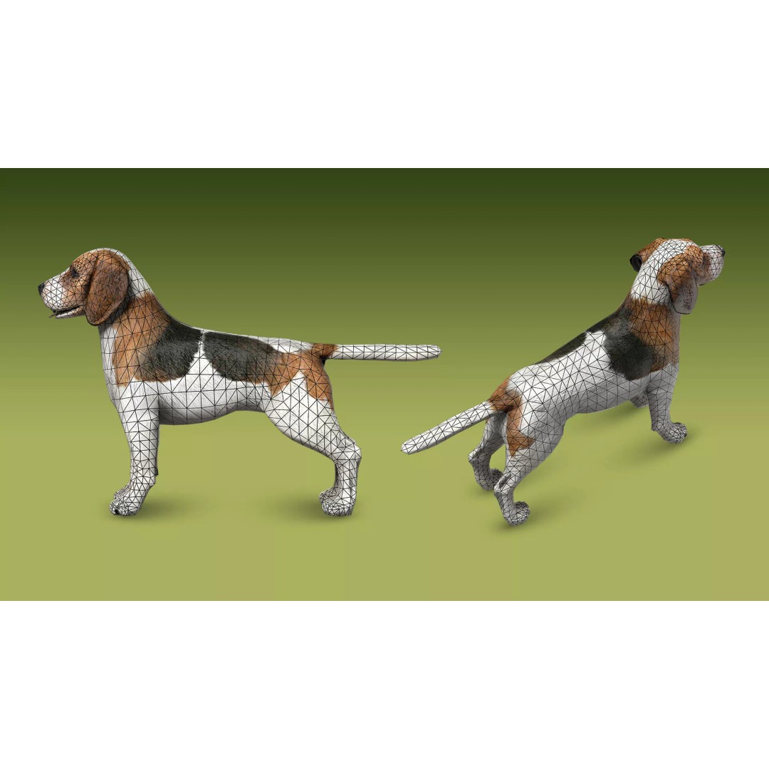 Shepherd Valley 3D Animal Pack – Low Poly Game Assets, FBX, Rigged - View 24