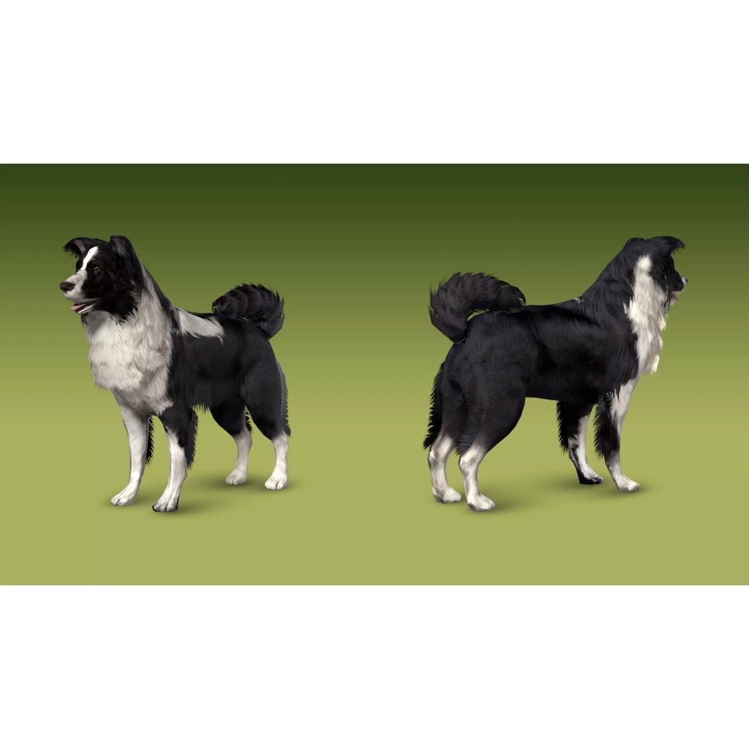 Shepherd Valley 3D Animal Pack – Low Poly Game Assets, FBX, Rigged - View 25