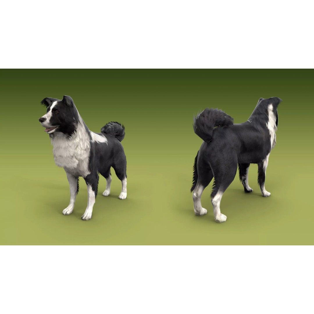 Shepherd Valley 3D Animal Pack – Low Poly Game Assets, FBX, Rigged - View 29
