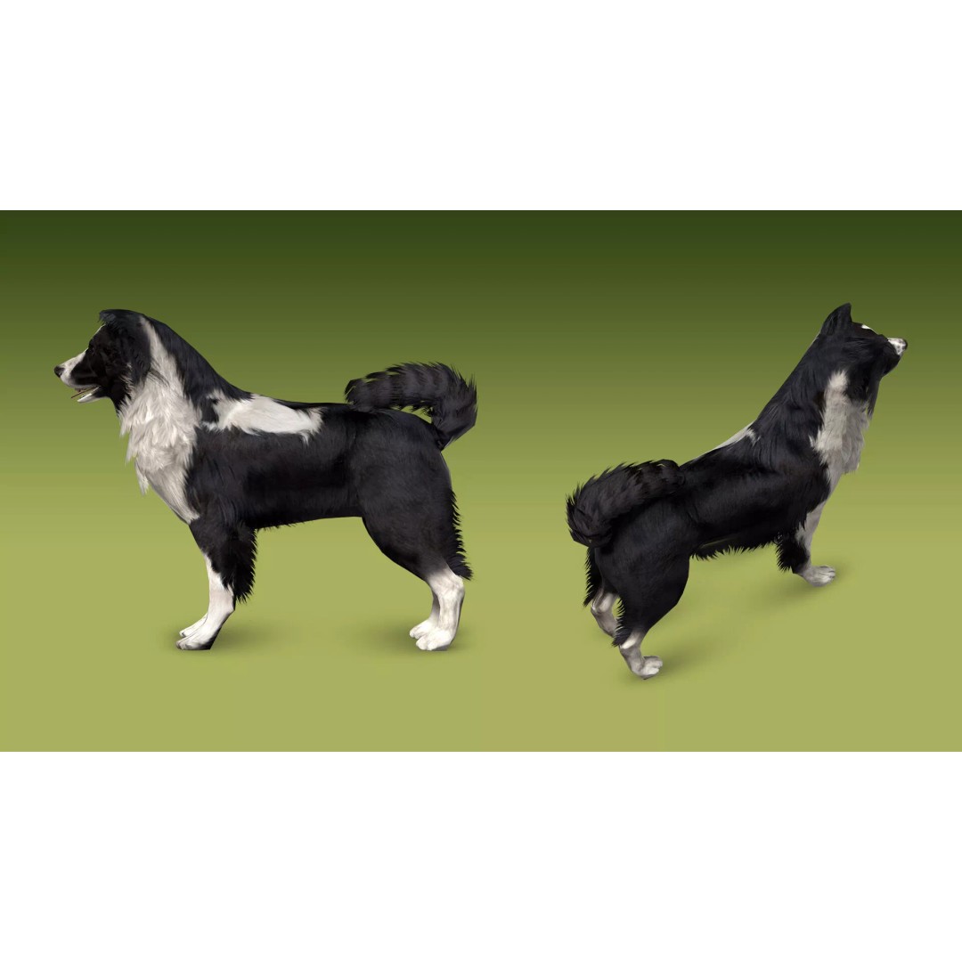 Shepherd Valley 3D Animal Pack – Low Poly Game Assets, FBX, Rigged - View 31
