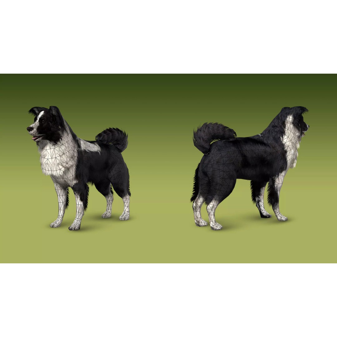 Shepherd Valley 3D Animal Pack – Low Poly Game Assets, FBX, Rigged - View 32