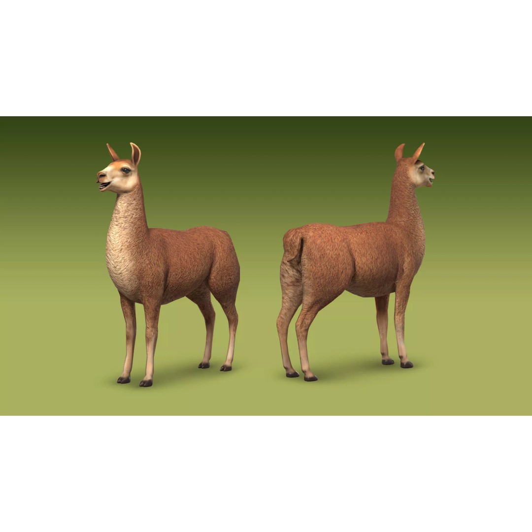 Shepherd Valley 3D Animal Pack – Low Poly Game Assets, FBX, Rigged - View 33