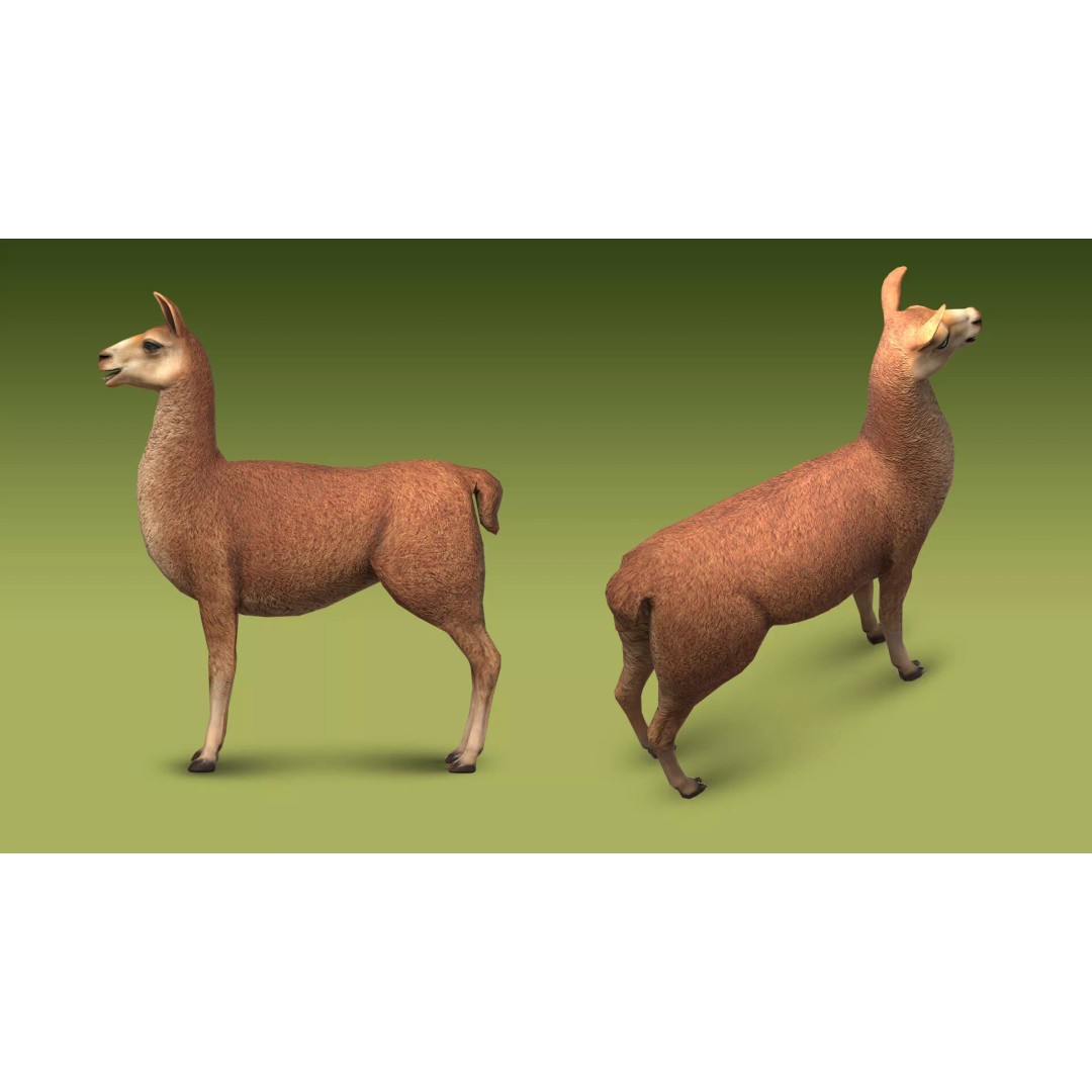 Shepherd Valley 3D Animal Pack – Low Poly Game Assets, FBX, Rigged - View 36