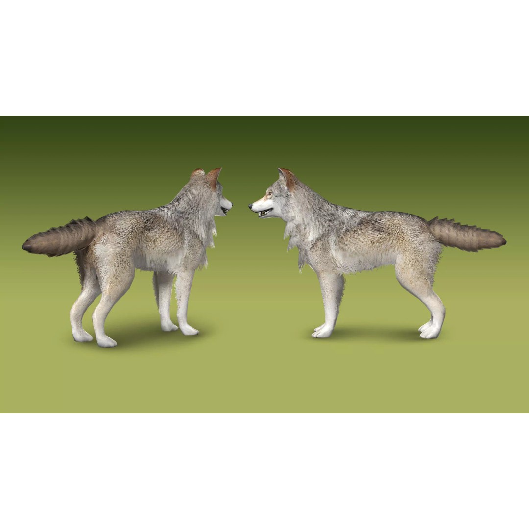 Shepherd Valley 3D Animal Pack – Low Poly Game Assets, FBX, Rigged - View 45
