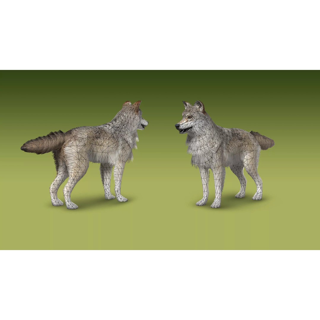 Shepherd Valley 3D Animal Pack – Low Poly Game Assets, FBX, Rigged - View 47