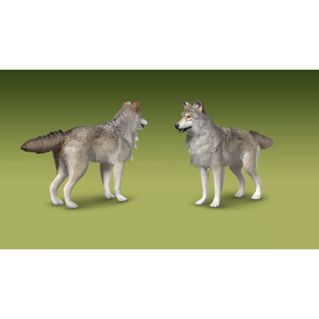 Shepherd Valley 3D Animal Pack – Low Poly Game Assets, FBX, Rigged - View 48