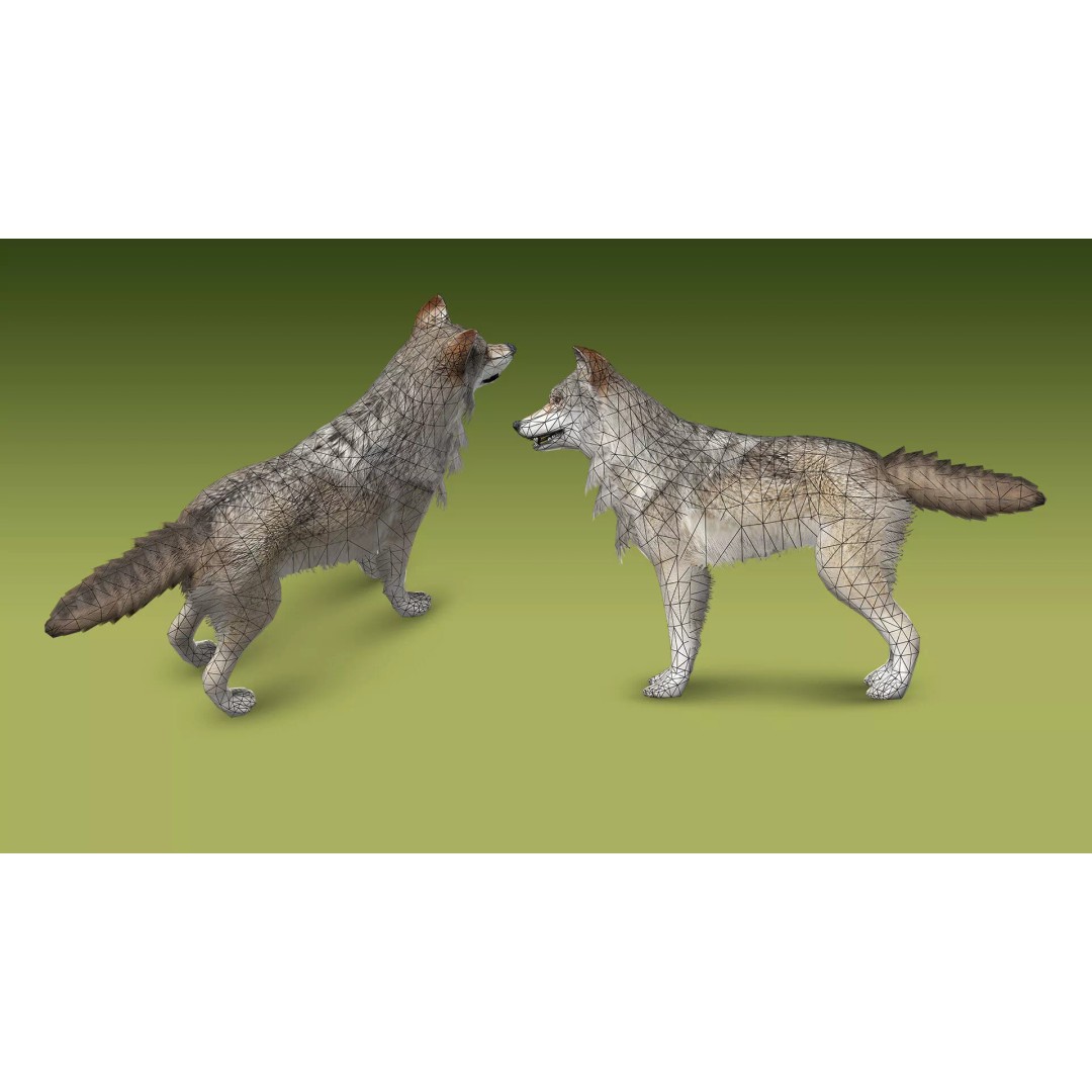 Shepherd Valley 3D Animal Pack – Low Poly Game Assets, FBX, Rigged - View 50