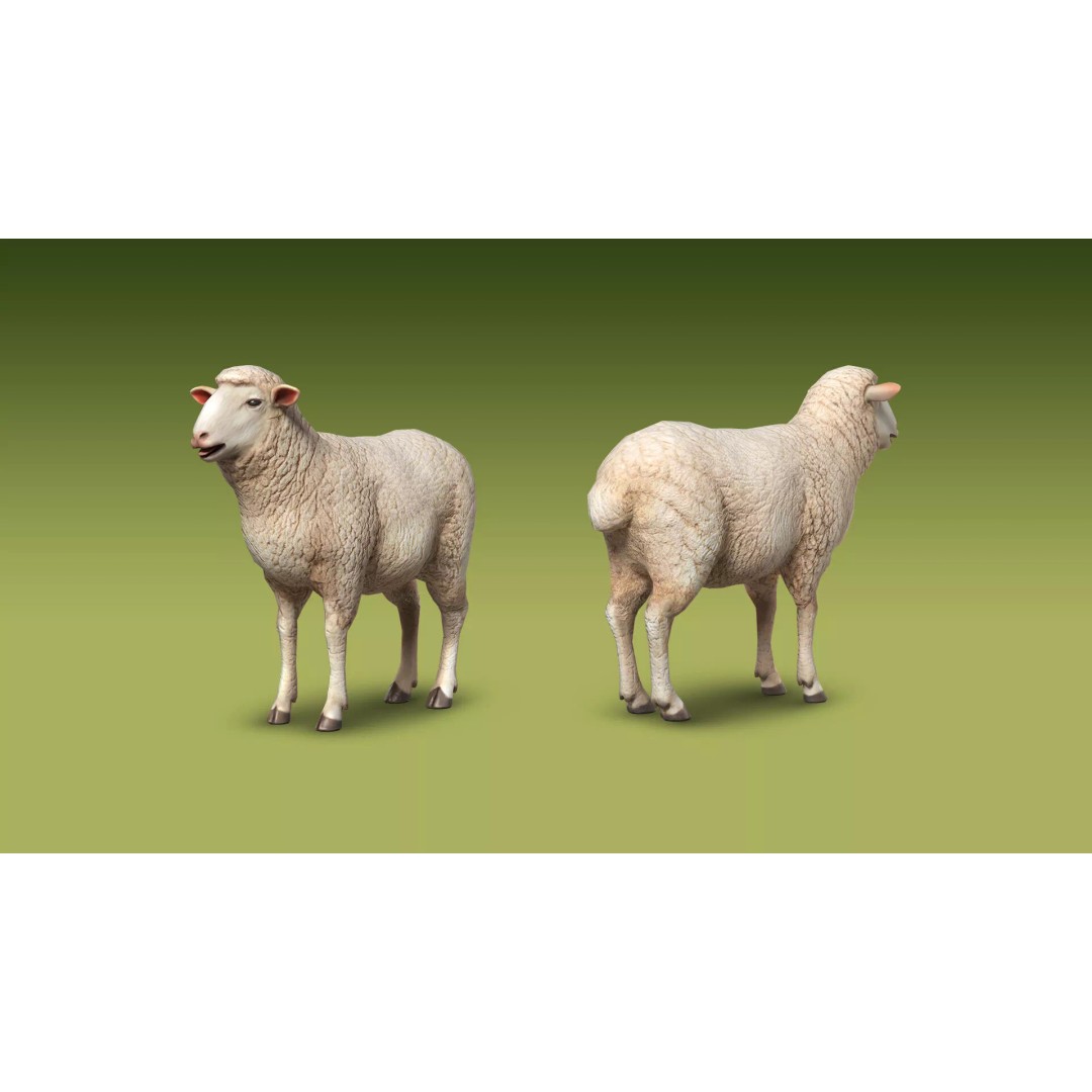 Shepherd Valley 3D Animal Pack – Low Poly Game Assets, FBX, Rigged - View 51