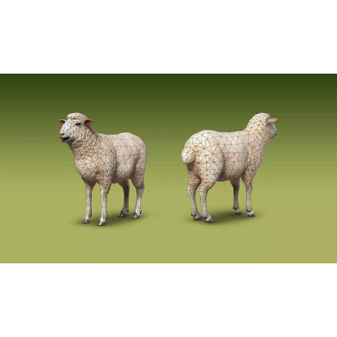 Shepherd Valley 3D Animal Pack – Low Poly Game Assets, FBX, Rigged - View 53