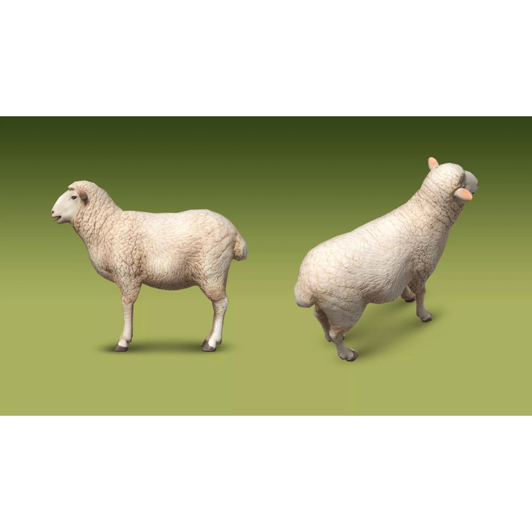 Shepherd Valley 3D Animal Pack – Low Poly Game Assets, FBX, Rigged - View 54