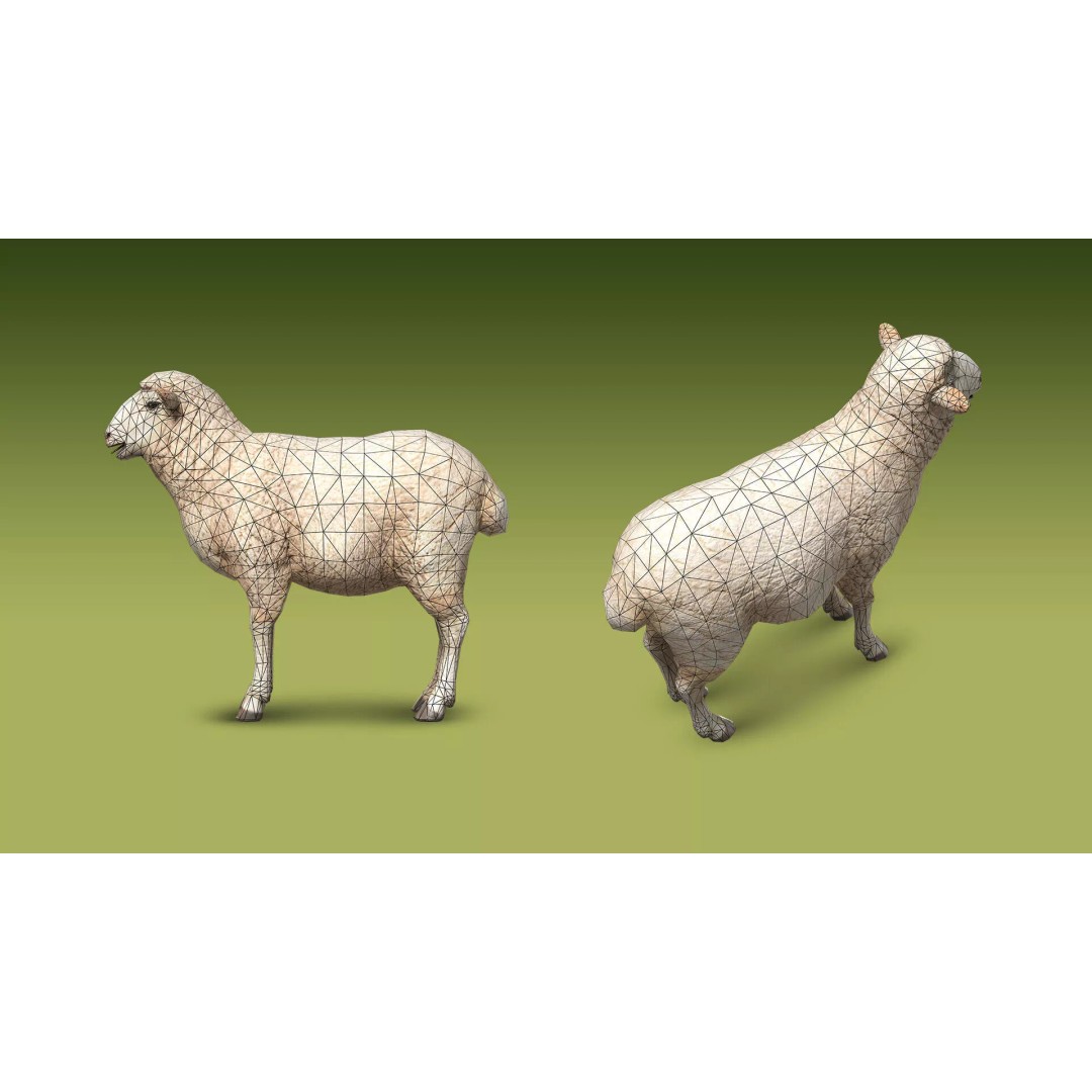 Shepherd Valley 3D Animal Pack – Low Poly Game Assets, FBX, Rigged - View 56