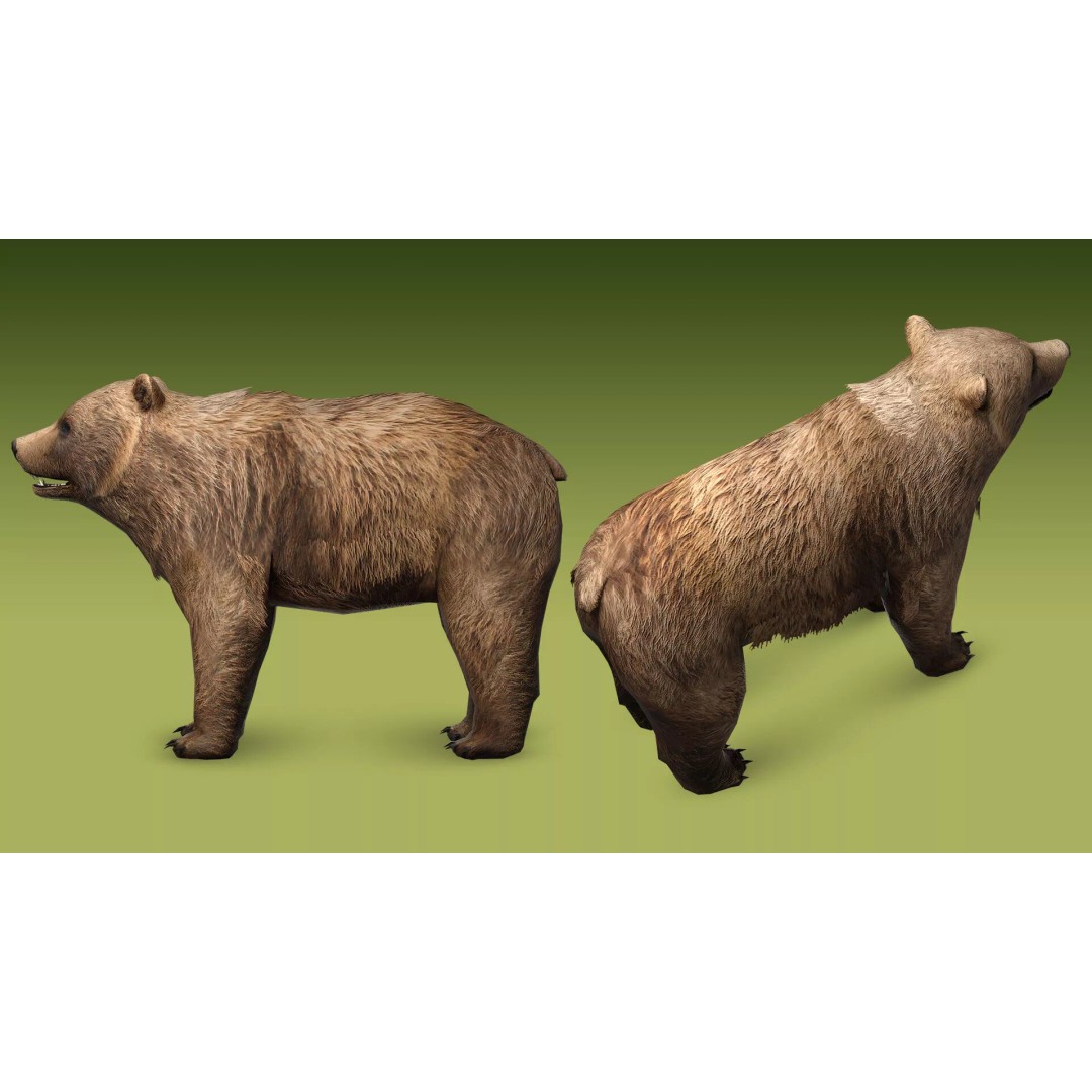 Shepherd Valley 3D Animal Pack – Low Poly Game Assets, FBX, Rigged - View 63