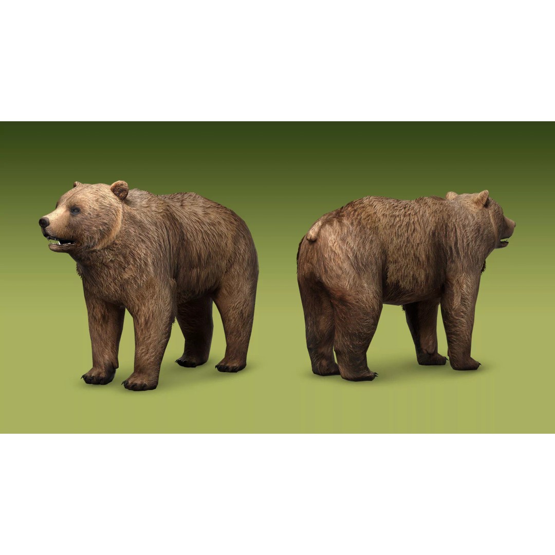 Shepherd Valley 3D Animal Pack – Low Poly Game Assets, FBX, Rigged - View 66