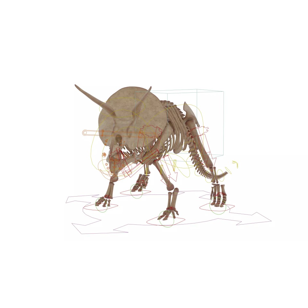 Triceratops Skeleton 3D Model – Rigged Ceratopsian for Animation, Blender - View 12