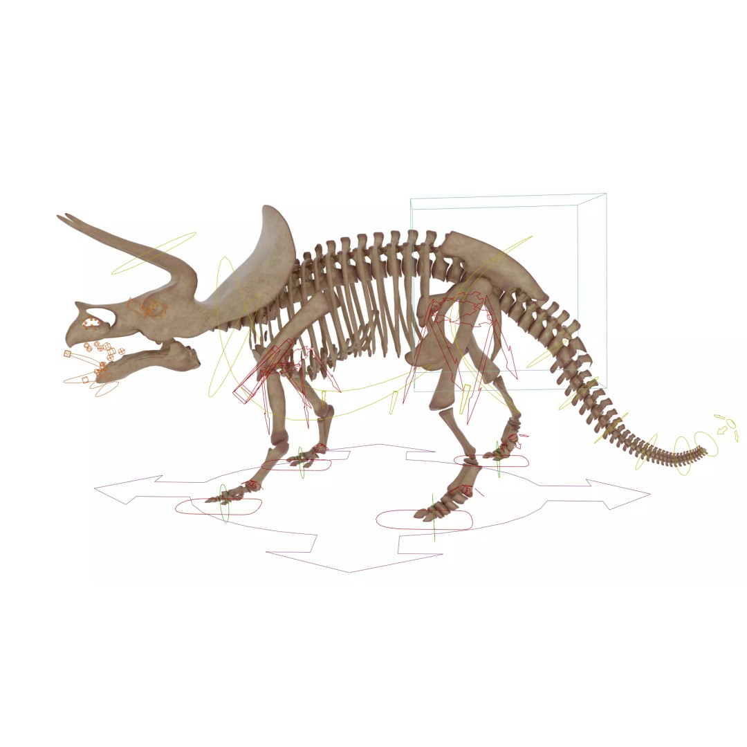 Triceratops Skeleton 3D Model – Rigged Ceratopsian for Animation, Blender - View 15