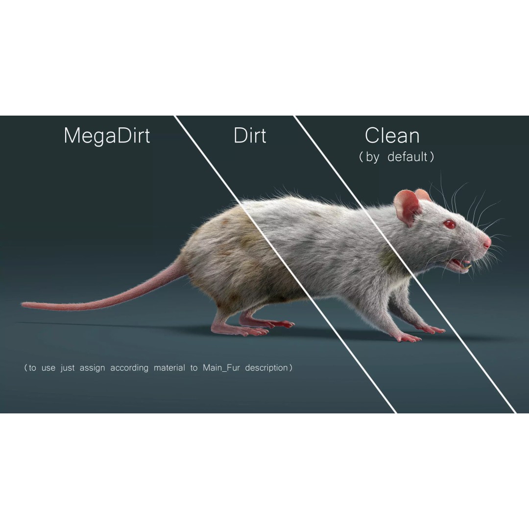 Rigged White Rat 3D Model – High Detail PBR Asset, FBX, OBJ - View 8