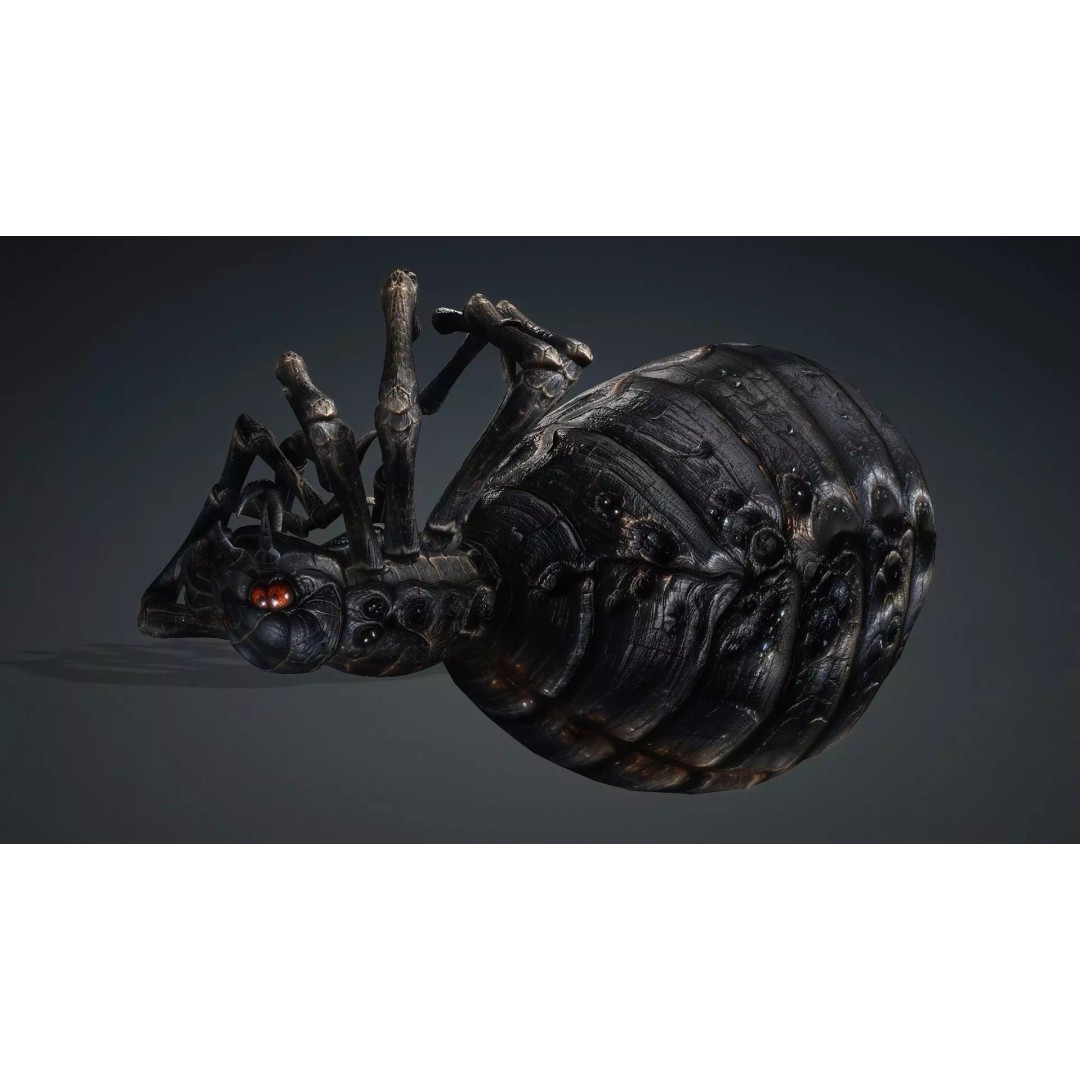 Spider 3D Model – Low Poly Rigged Insect with PBR Textures - View 10