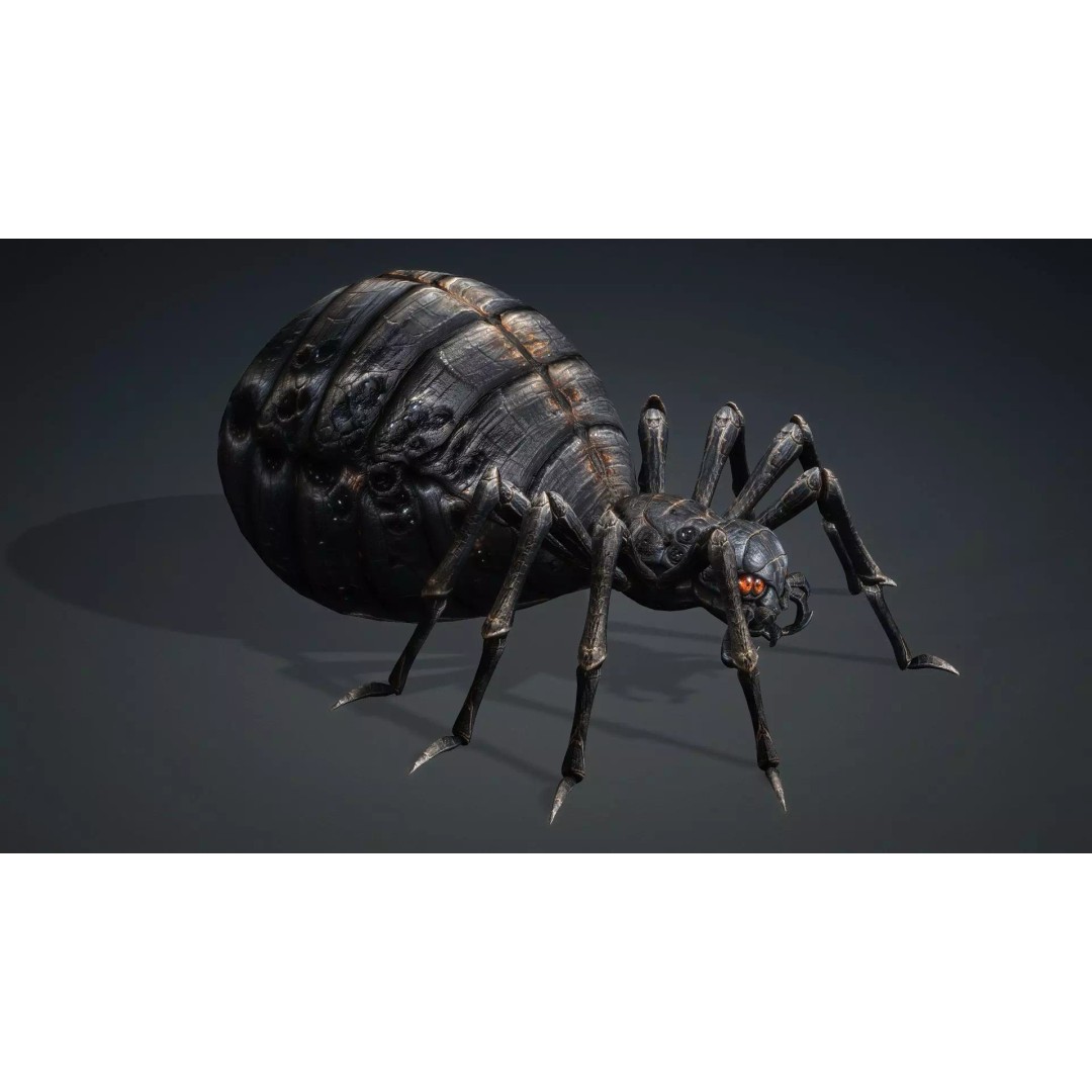Spider 3D Model – Low Poly Rigged Insect with PBR Textures - View 11