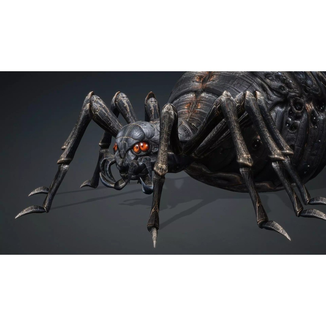 Spider 3D Model – Low Poly Rigged Insect with PBR Textures - View 12