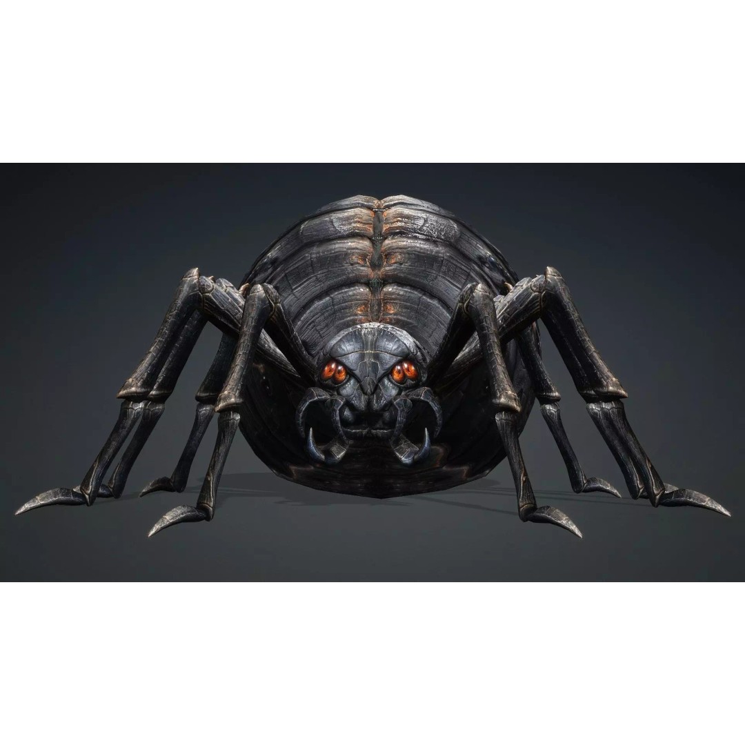 Spider 3D Model – Low Poly Rigged Insect with PBR Textures - View 13