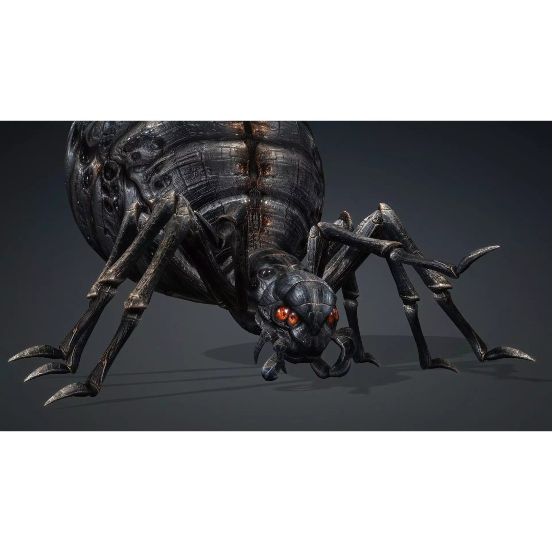 Spider 3D Model – Low Poly Rigged Insect with PBR Textures - View 15