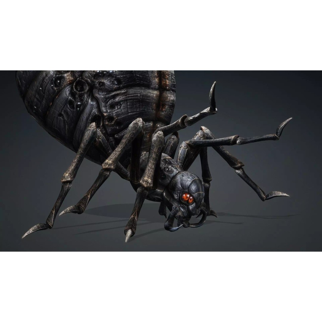 Spider 3D Model – Low Poly Rigged Insect with PBR Textures - View 16