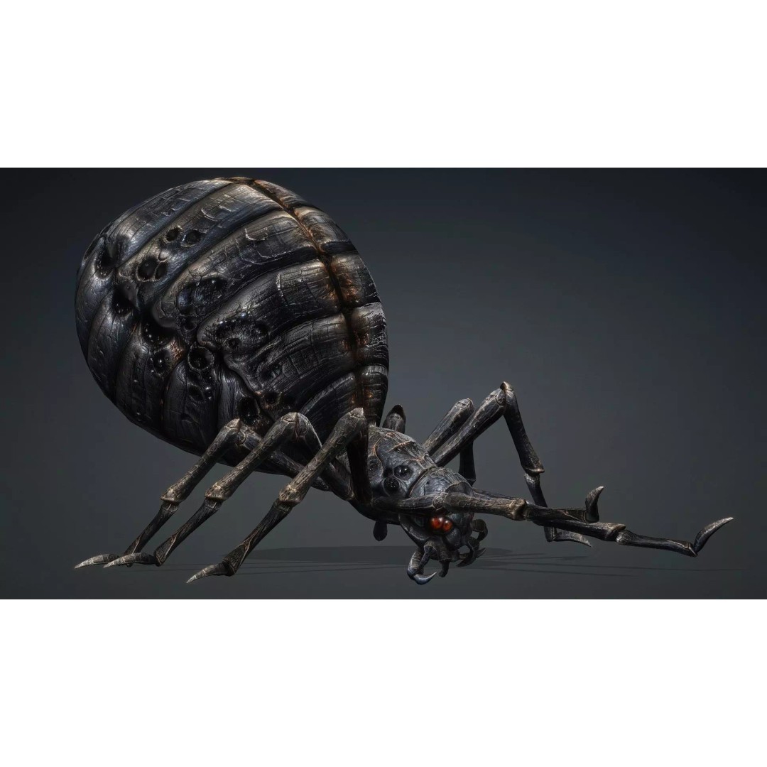 Spider 3D Model – Low Poly Rigged Insect with PBR Textures - View 17