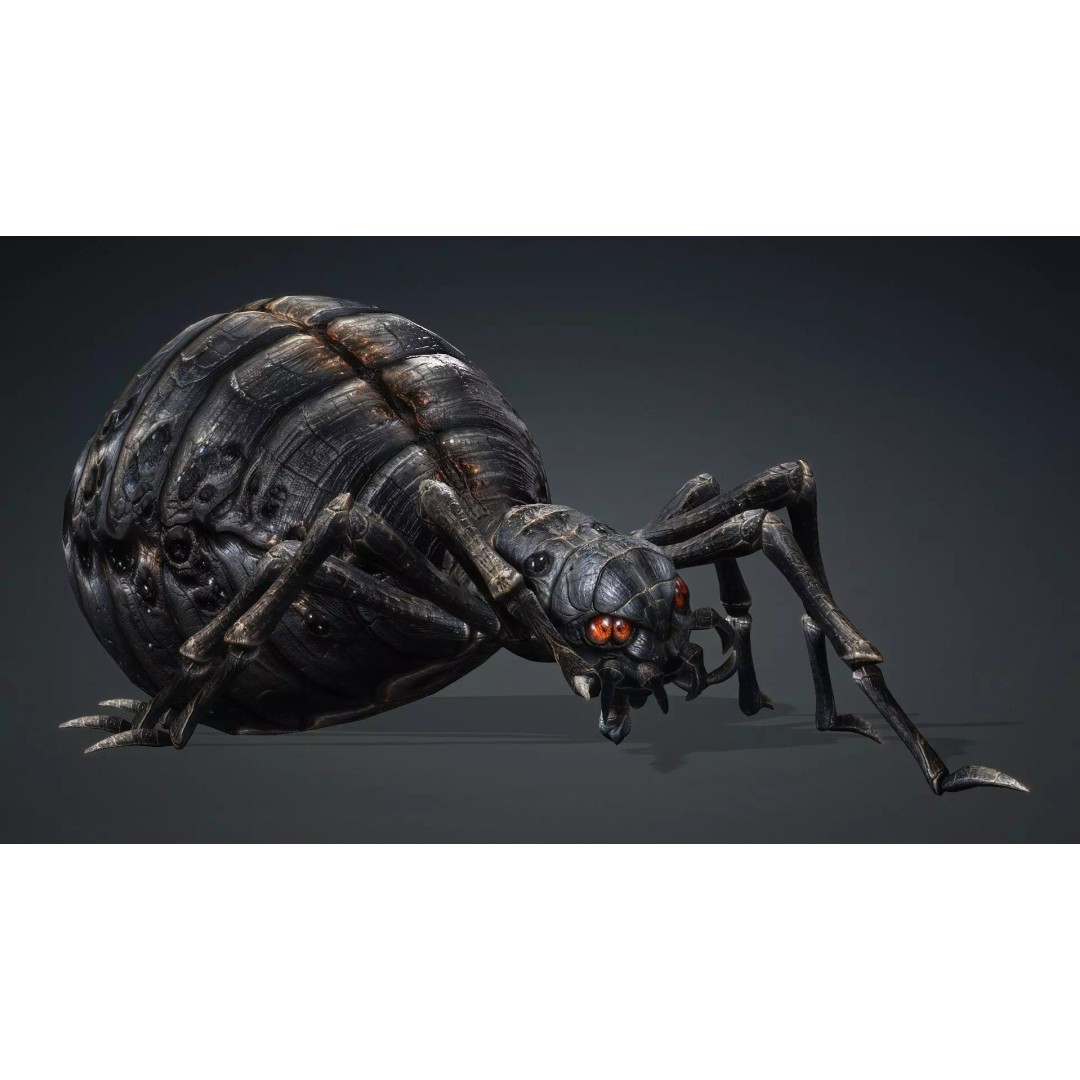 Spider 3D Model – Low Poly Rigged Insect with PBR Textures - View 18