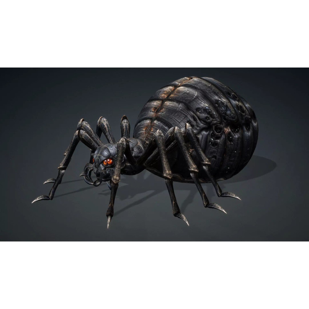 Spider 3D Model – Low Poly Rigged Insect with PBR Textures - View 3