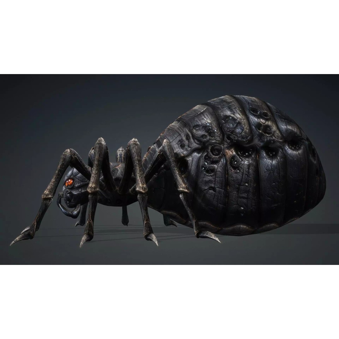 Spider 3D Model – Low Poly Rigged Insect with PBR Textures - View 4