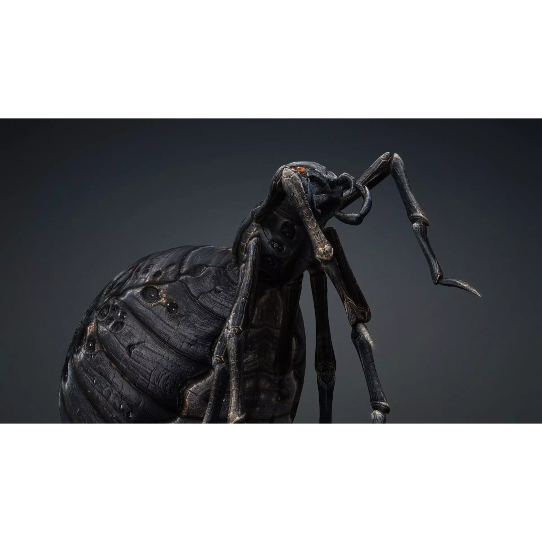 Spider 3D Model – Low Poly Rigged Insect with PBR Textures - View 5
