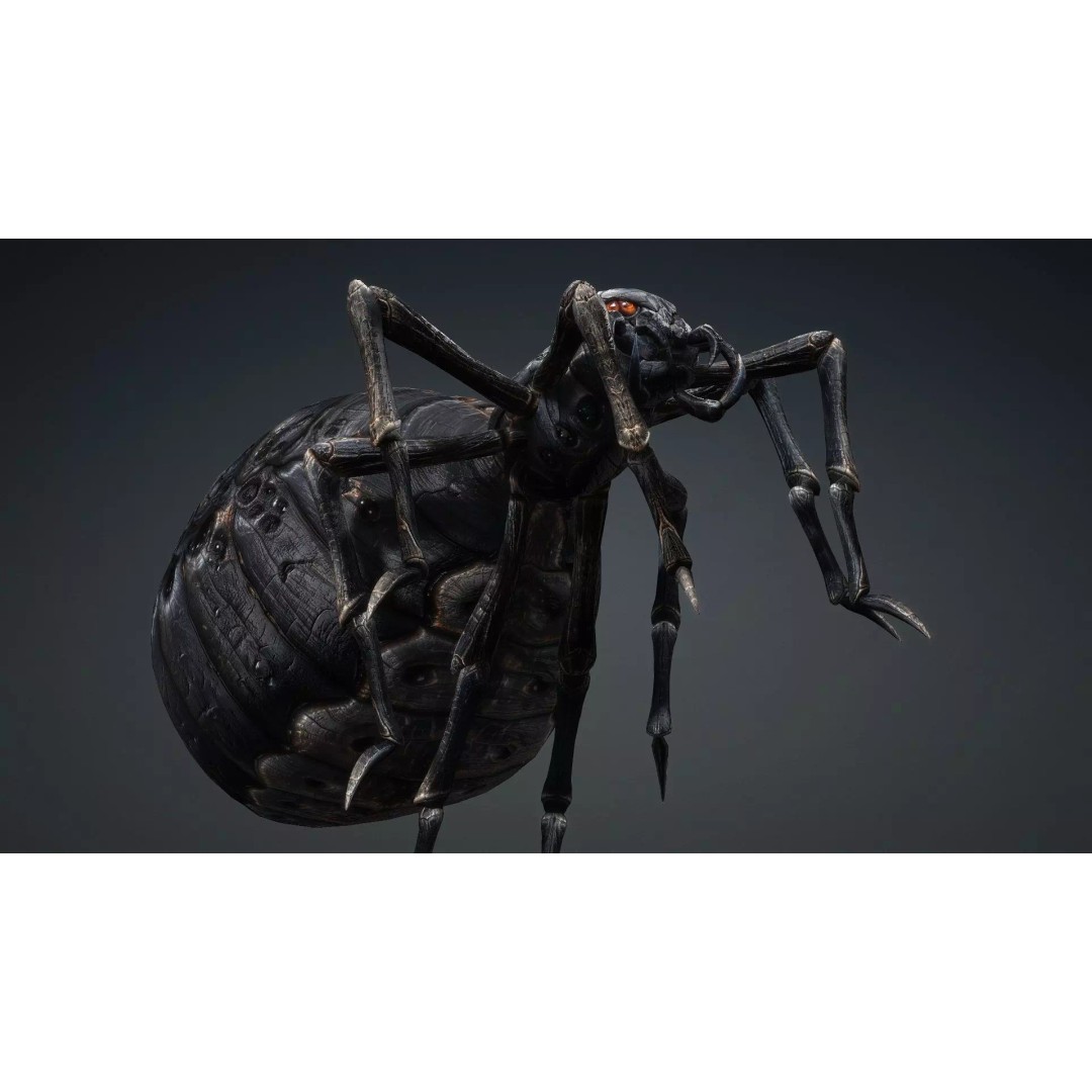 Spider 3D Model – Low Poly Rigged Insect with PBR Textures - View 6