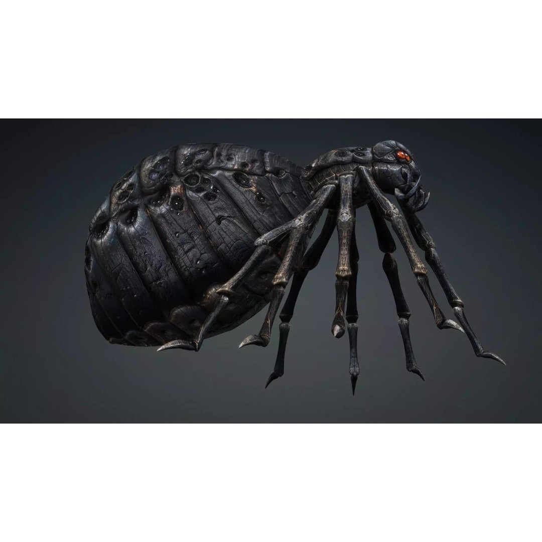 Spider 3D Model – Low Poly Rigged Insect with PBR Textures - View 7