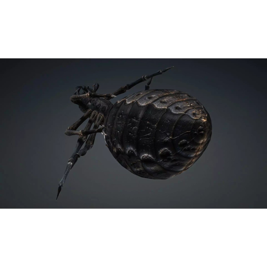 Spider 3D Model – Low Poly Rigged Insect with PBR Textures - View 8