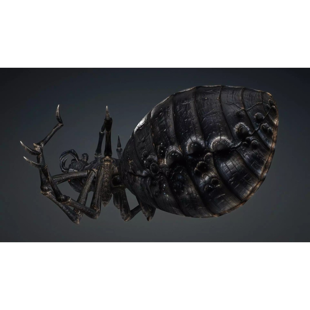 Spider 3D Model – Low Poly Rigged Insect with PBR Textures - View 9