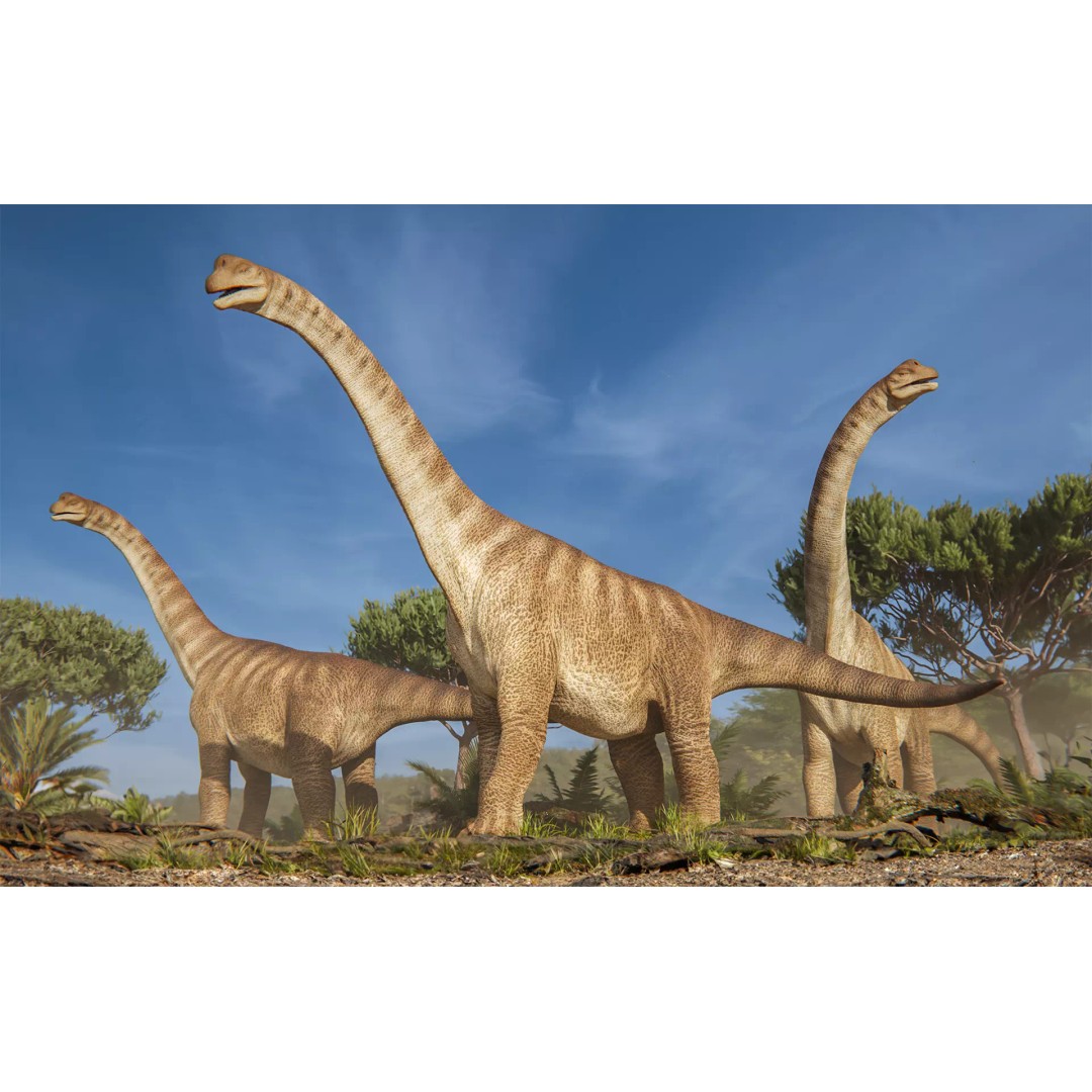 Brachiosaurus 3D Model – Low Poly Animated Dinosaur, FBX & Blender - View 2
