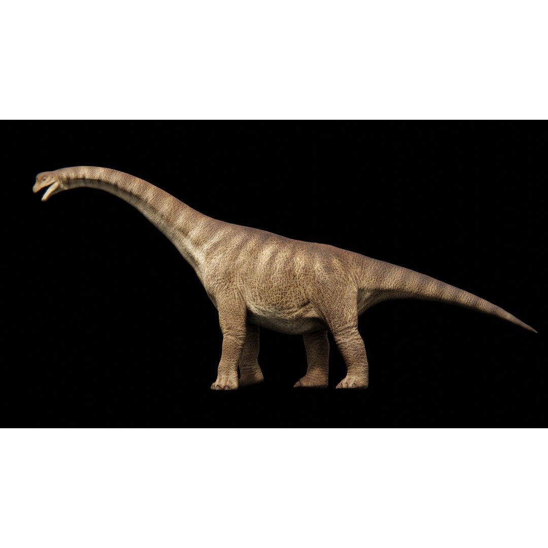 Brachiosaurus 3D Model – Low Poly Animated Dinosaur, FBX & Blender - View 3