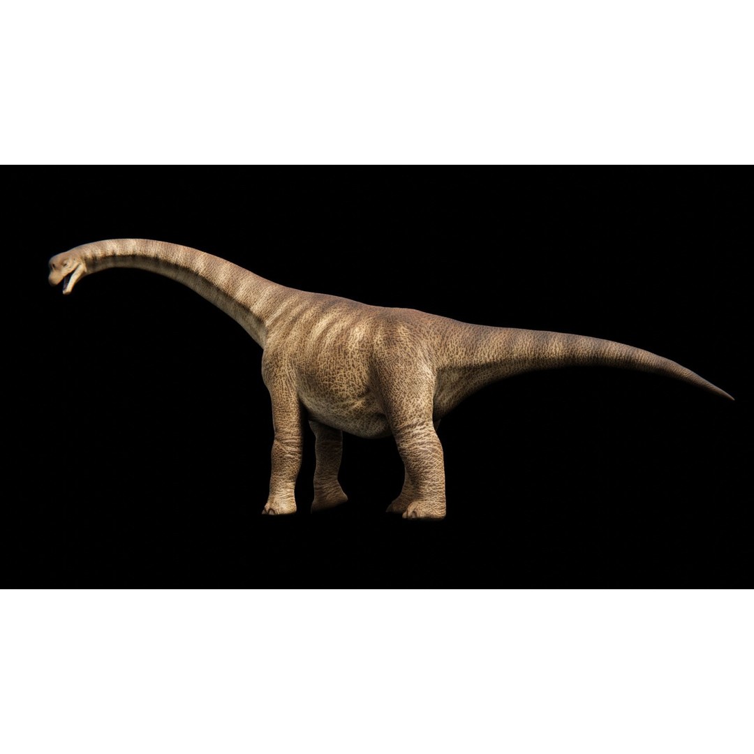 Brachiosaurus 3D Model – Low Poly Animated Dinosaur, FBX & Blender - View 6