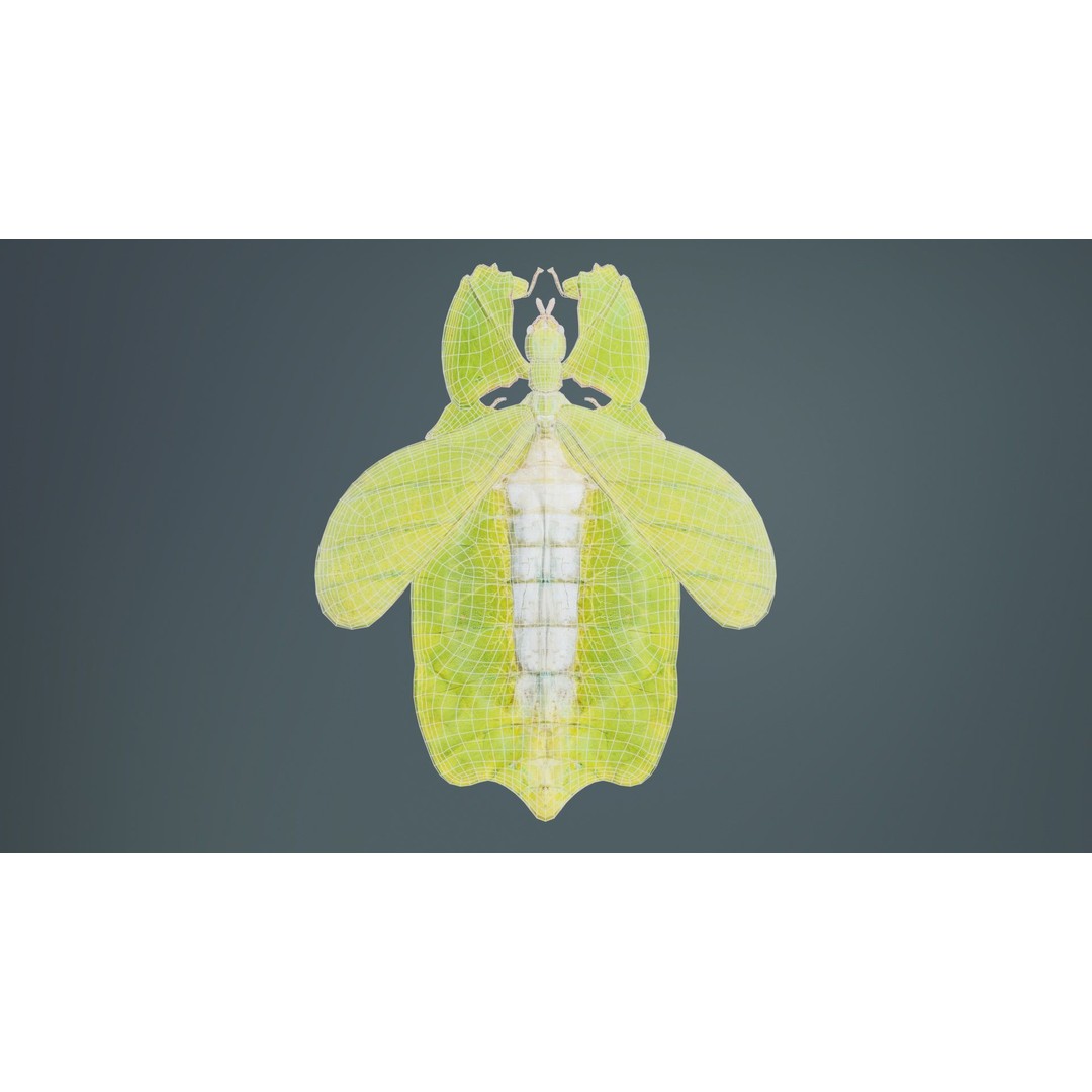 Walking Leaf Insect 3D Model – Low Poly Game Asset, FBX, Blender - View 11