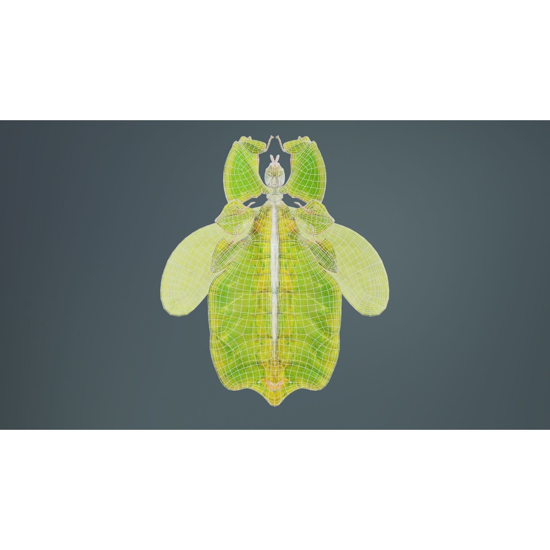 Walking Leaf Insect 3D Model – Low Poly Game Asset, FBX, Blender - View 12