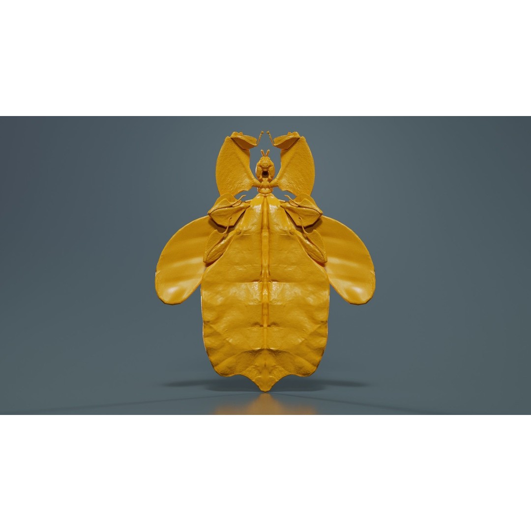 Walking Leaf Insect 3D Model – Low Poly Game Asset, FBX, Blender - View 15