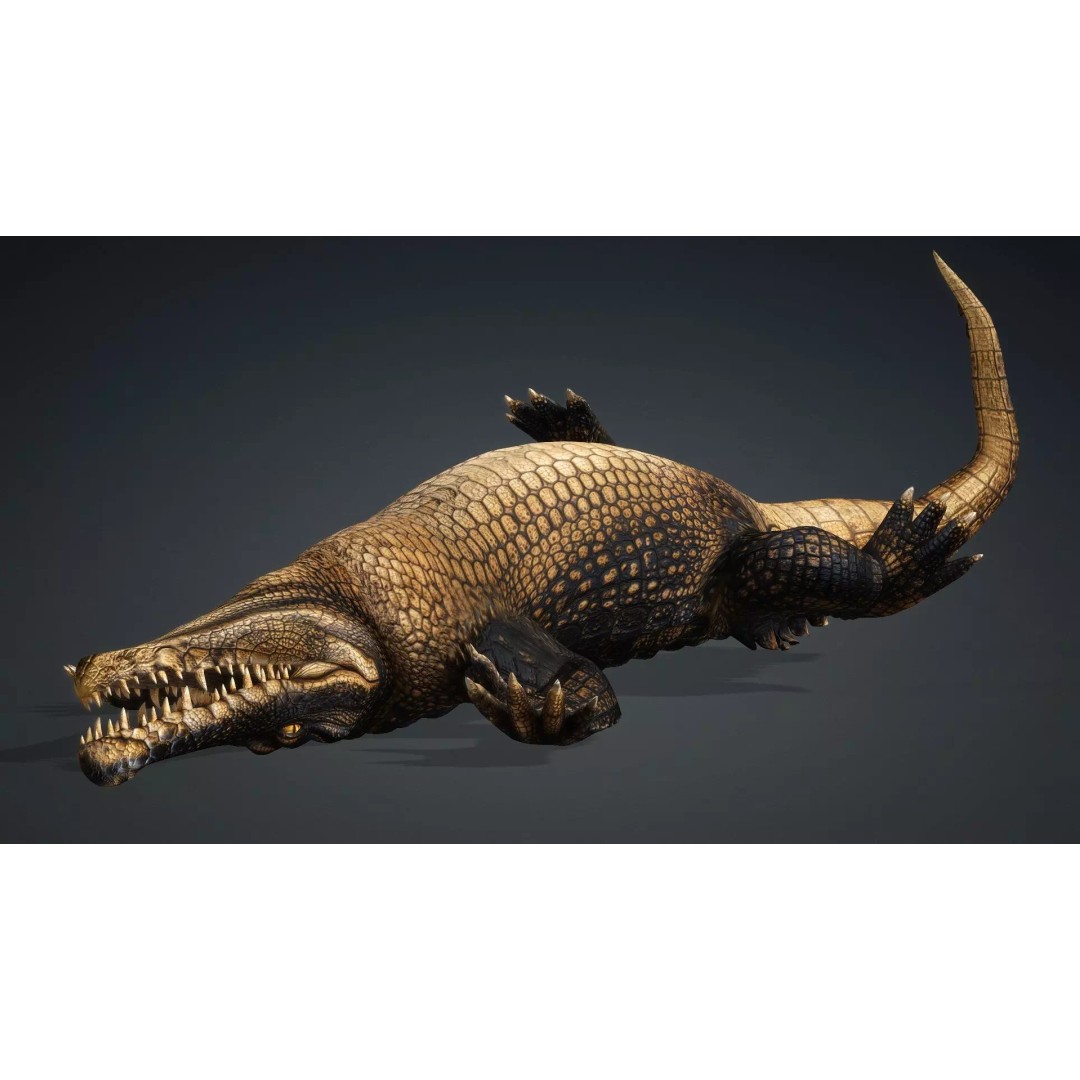 Crocodile 3D Model – Rigged Animation Asset, FBX, PBR Textures - View 10