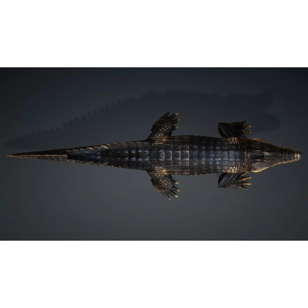 Crocodile 3D Model – Rigged Animation Asset, FBX, PBR Textures - View 12